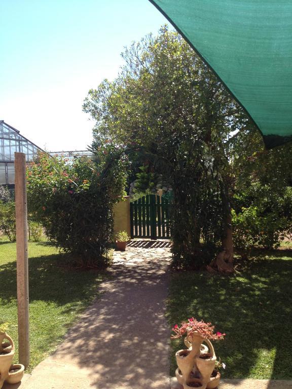 La Contea Bed & Breakfast SantʼAnna Arresi Exterior foto