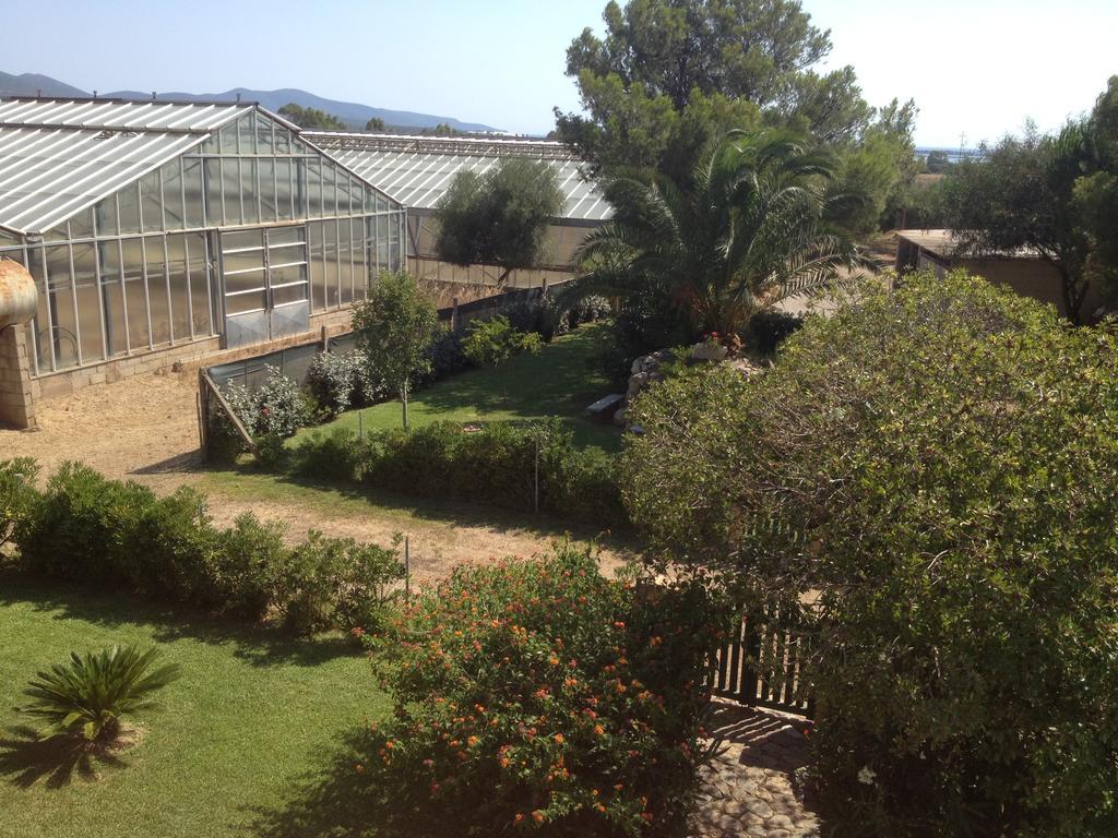 La Contea Bed & Breakfast SantʼAnna Arresi Exterior foto