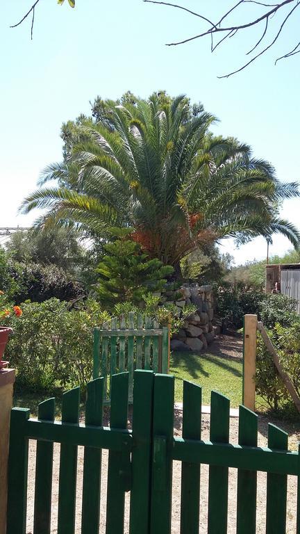 La Contea Bed & Breakfast SantʼAnna Arresi Exterior foto