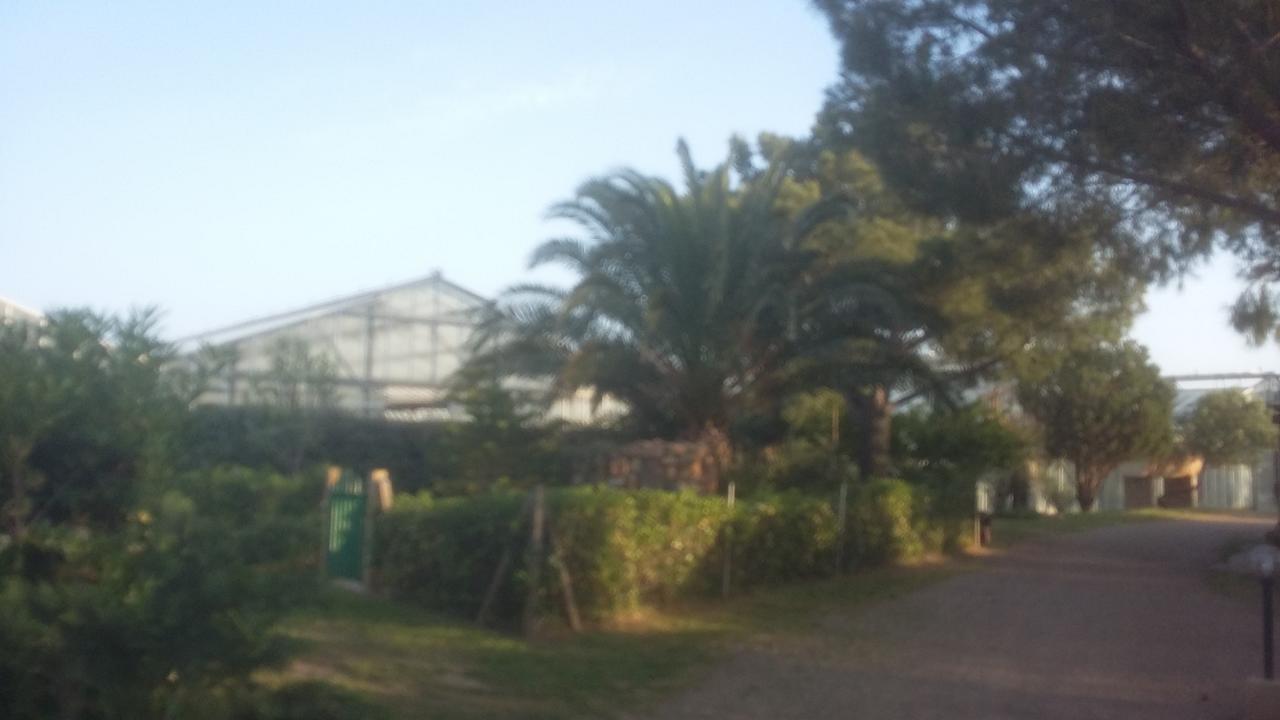La Contea Bed & Breakfast SantʼAnna Arresi Exterior foto